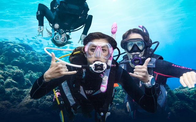  Buceo 